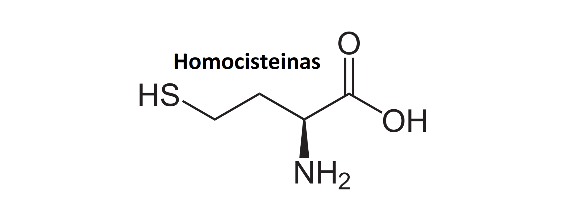 HOMOCISTEINAS